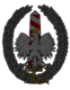 straz_granicza_logo_1